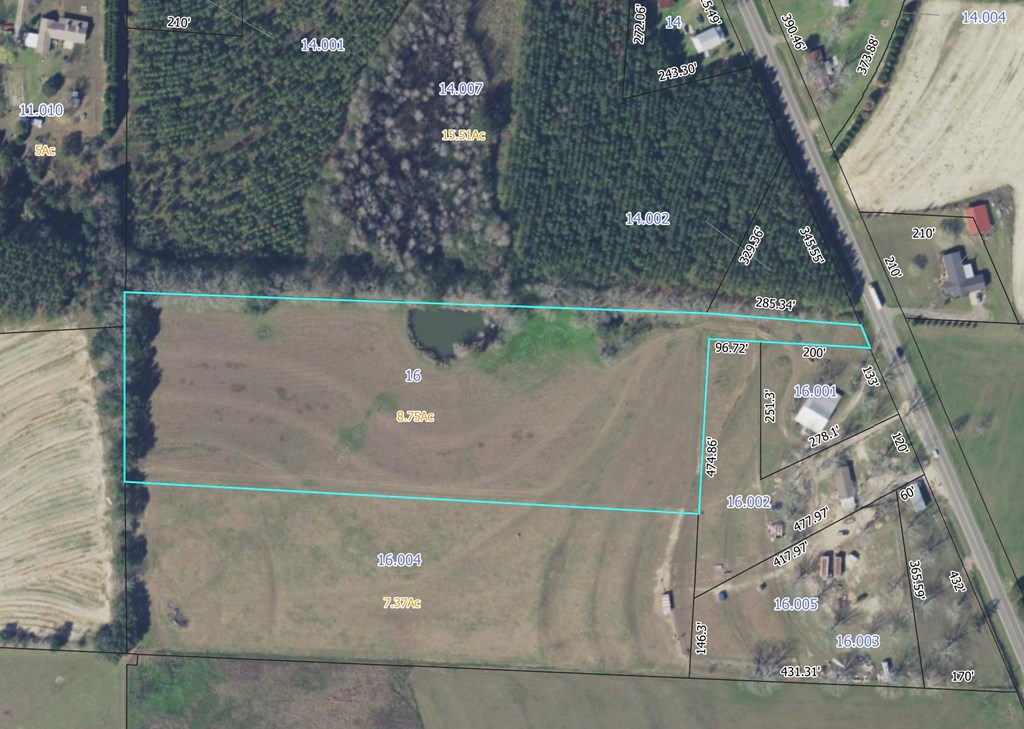 8.96 Acres Cottonwood Rd  (hwy 53), Cottonwood, Alabama image 39