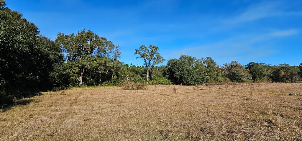 8.96 Acres Cottonwood Rd  (hwy 53), Cottonwood, Alabama image 5