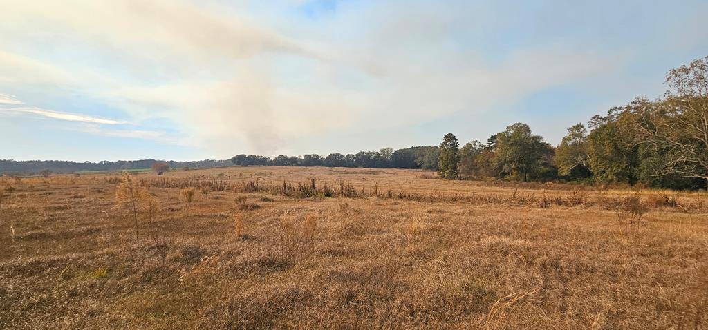 8.96 Acres Cottonwood Rd  (hwy 53), Cottonwood, Alabama image 8