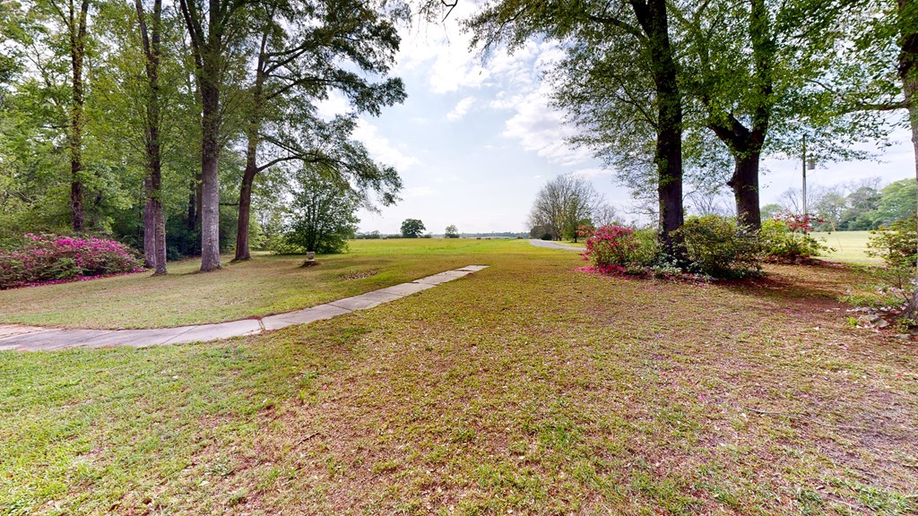 1109 Sanitary Dairy Road, Cowarts, Alabama image 2
