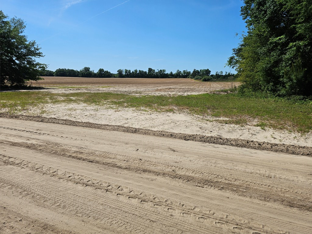 Holton Road, Gordon, Alabama image 3