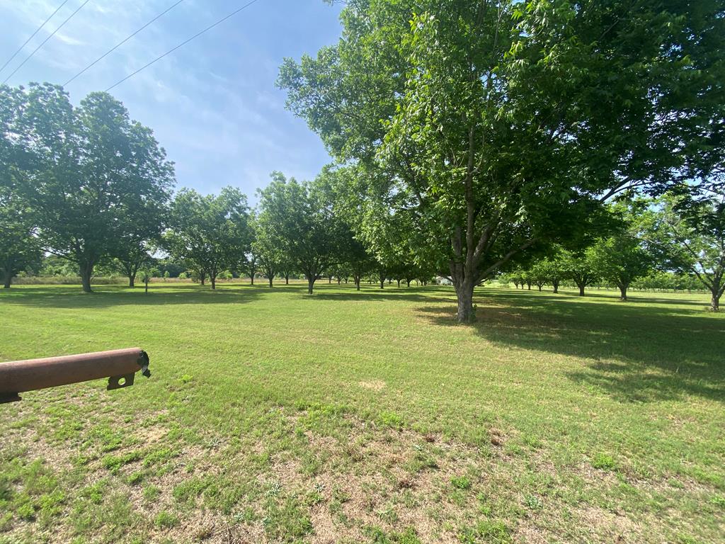 282 Mance Newton Rd, Dothan, Alabama image 7