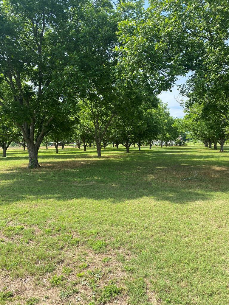 282 Mance Newton Rd, Dothan, Alabama image 6
