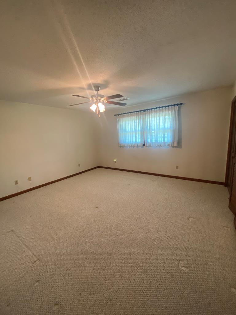 282 Mance Newton Rd, Dothan, Alabama image 21
