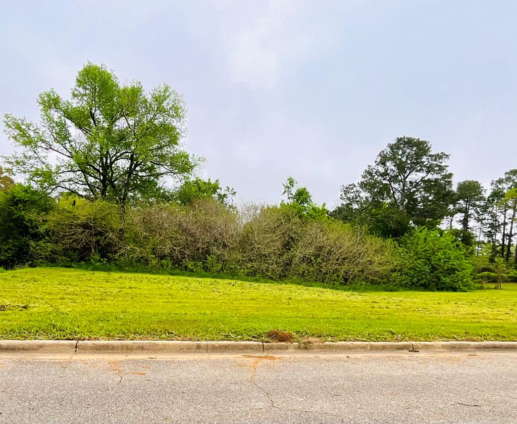 Lot 6 & 7 Lennox Ave, Dothan, Alabama image 1