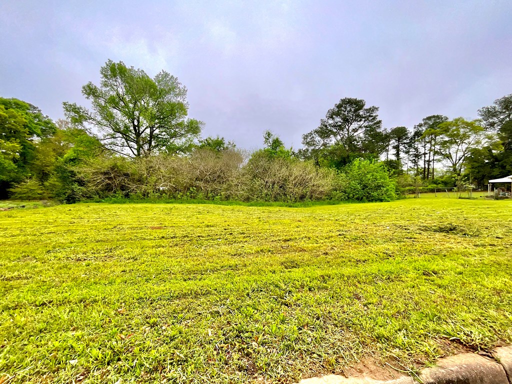 Lot 6 & 7 Lennox Ave, Dothan, Alabama image 2