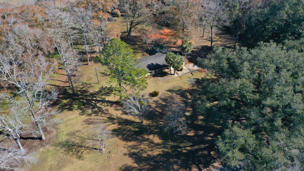 16305 E County Road 4, Slocomb, Alabama image 7
