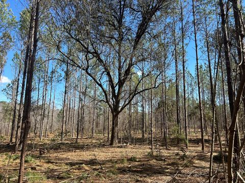 Vacant Land For Sale - LOT 4 13+-AC Cottonwood Rd<br/> Cottonwood, AL 36320