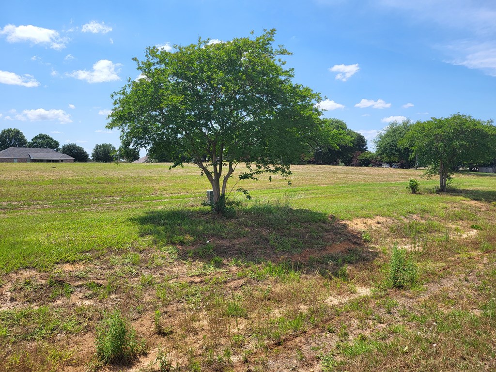 Lot 8 County Road 49, Headland, Alabama image 3