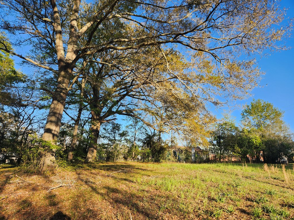 166 Girard St, Abbeville, Alabama image 8