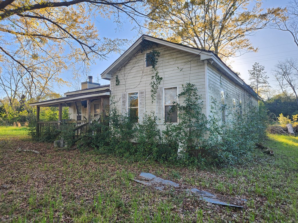 166 Girard St, Abbeville, Alabama image 6