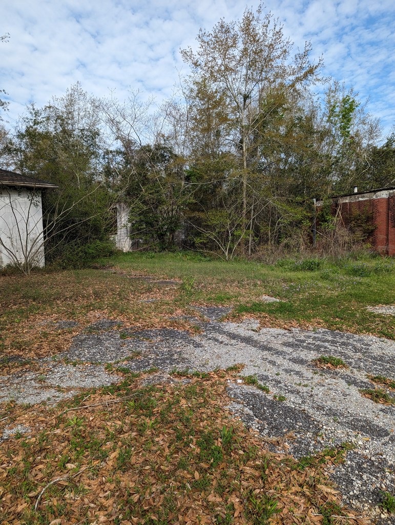 501 Ollie Glass Avenue, Hartford, Alabama image 6