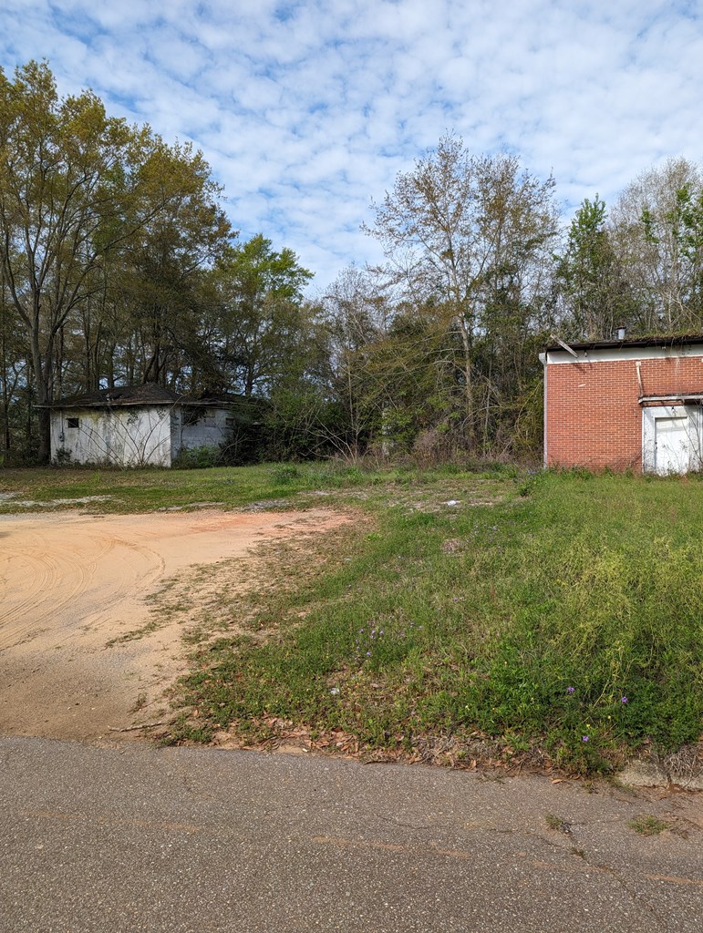 501 Ollie Glass Avenue, Hartford, Alabama image 2