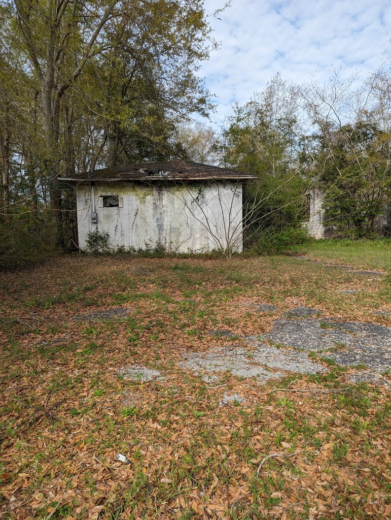 501 Ollie Glass Avenue, Hartford, Alabama image 7