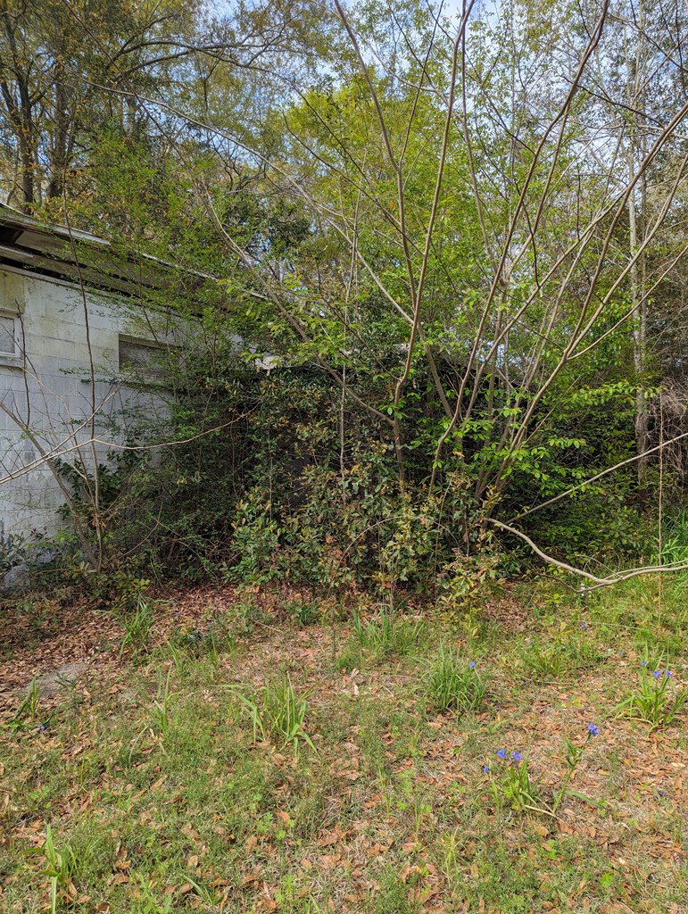 501 Ollie Glass Avenue, Hartford, Alabama image 12