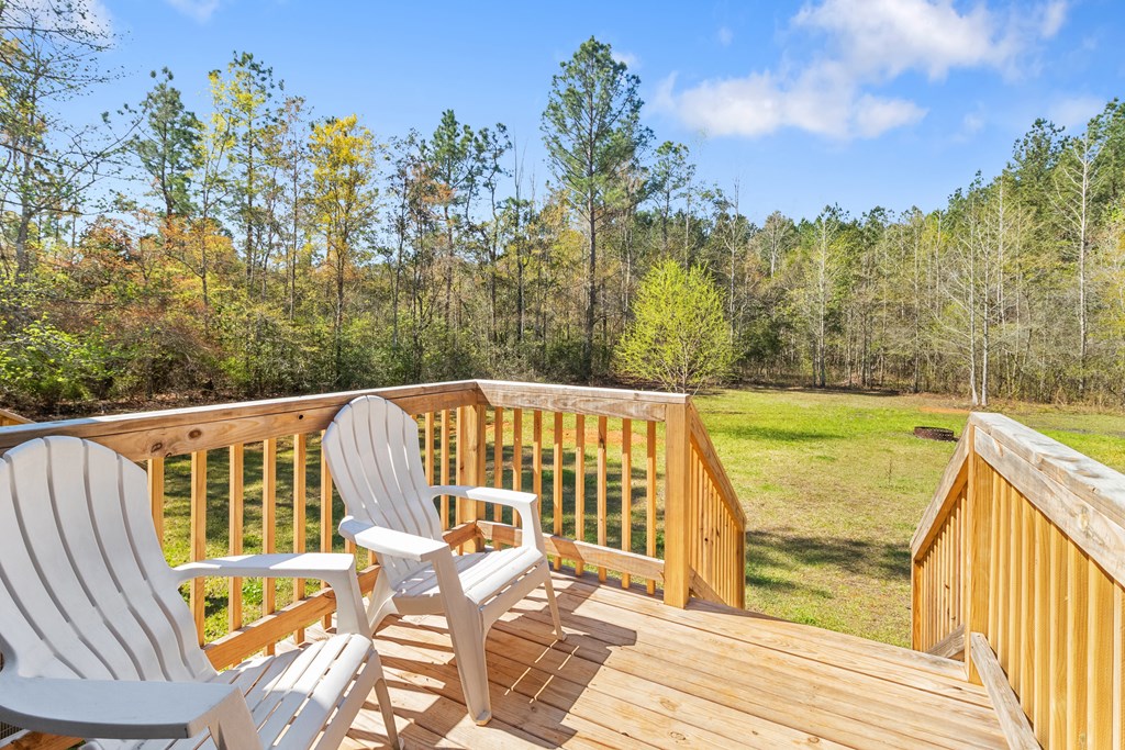 701 Russell Road, Samson, Alabama image 33