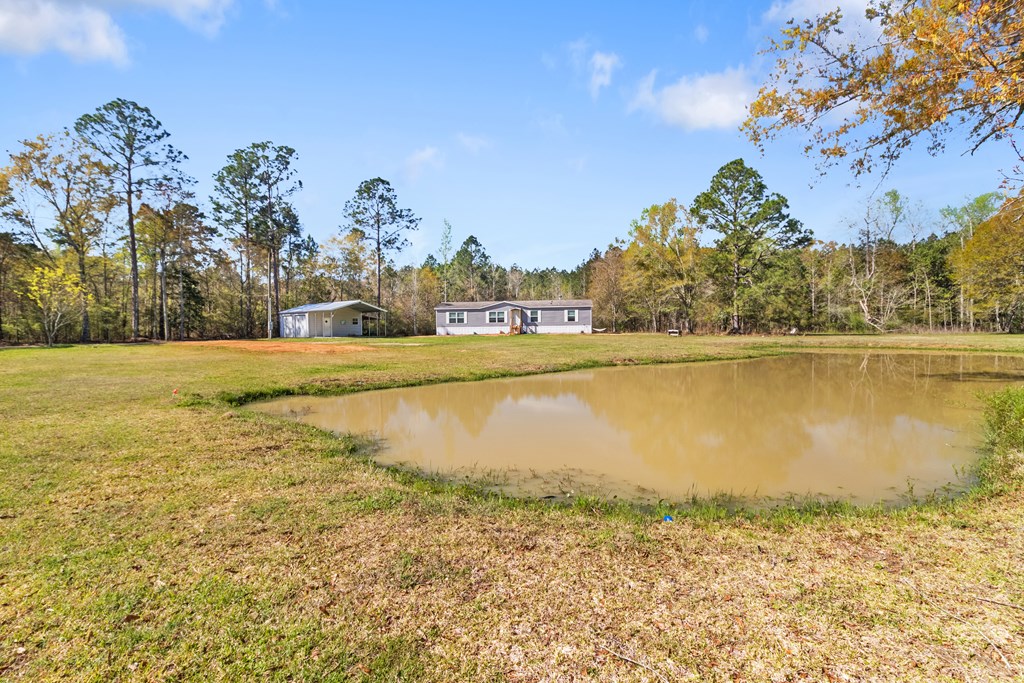 701 Russell Road, Samson, Alabama image 2