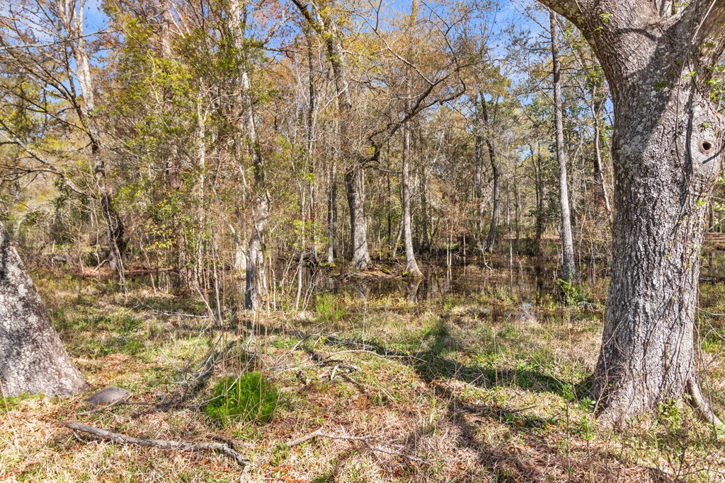 701 Russell Road, Samson, Alabama image 42