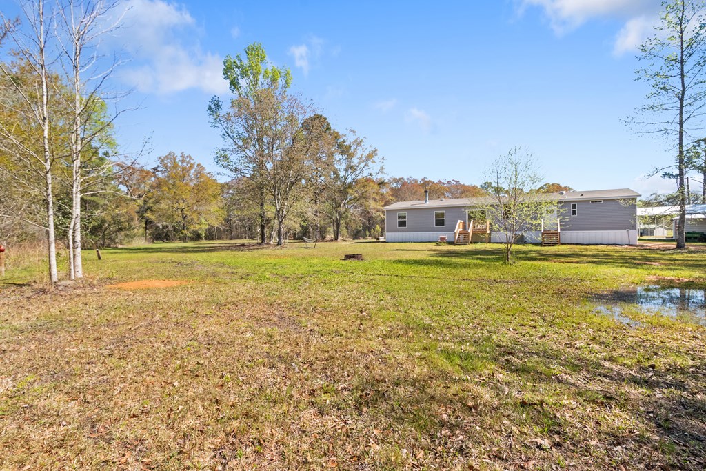 701 Russell Road, Samson, Alabama image 40