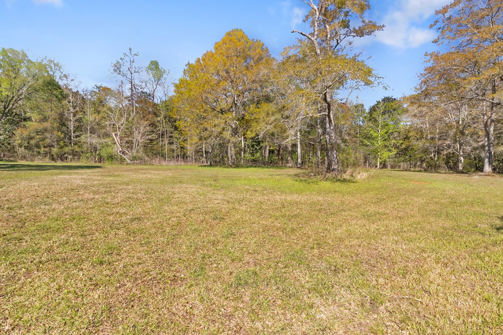 701 Russell Road, Samson, Alabama image 34