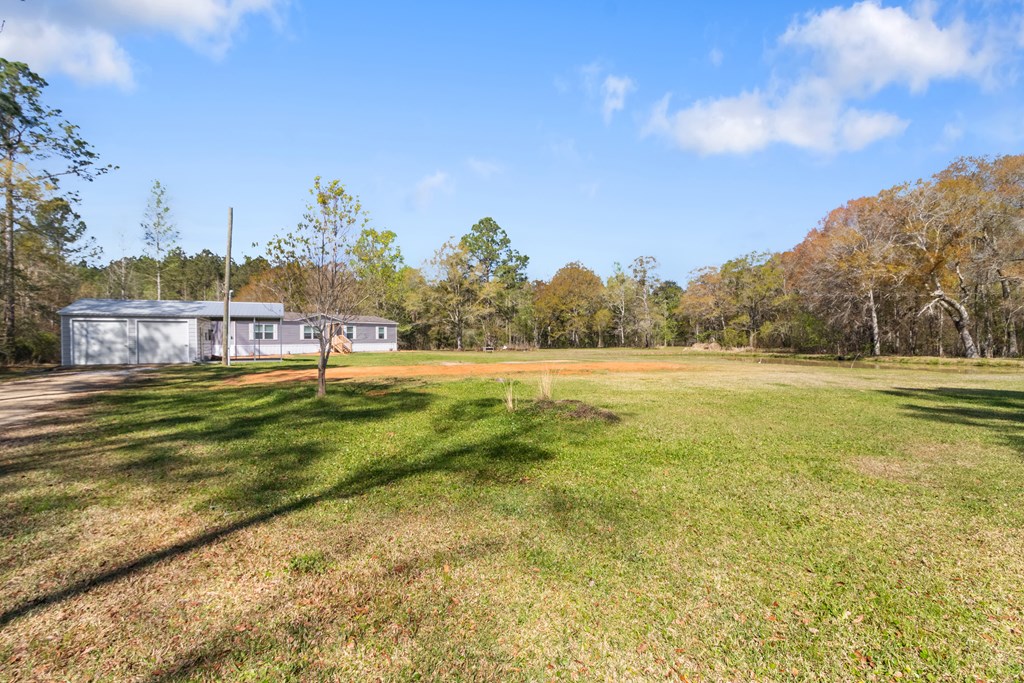 701 Russell Road, Samson, Alabama image 3