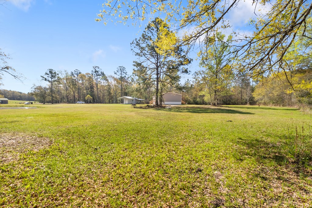 701 Russell Road, Samson, Alabama image 39