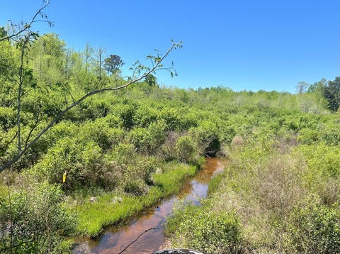 Vacant Land For Sale - 2500 Dean Church Rd<br/> Ozark, AL 36360