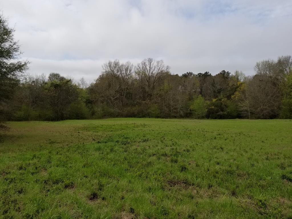 Suggs Road, Headland, Alabama image 1