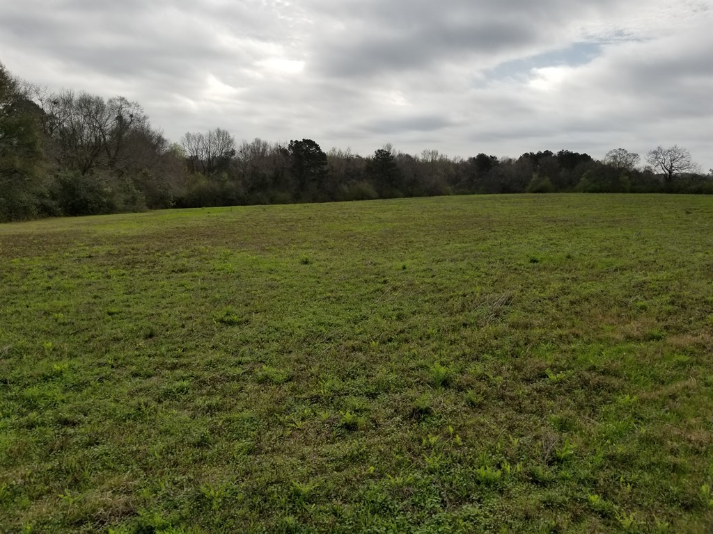 Suggs Road, Headland, Alabama image 2