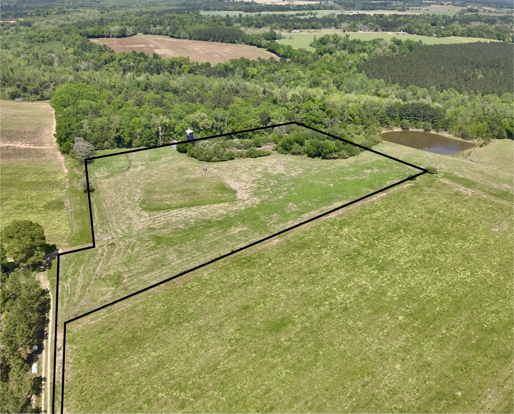 11.25 Acres Huskey Road, Dothan, Alabama image 2