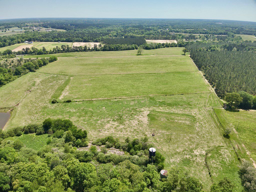 11.25 Acres Huskey Road, Dothan, Alabama image 3