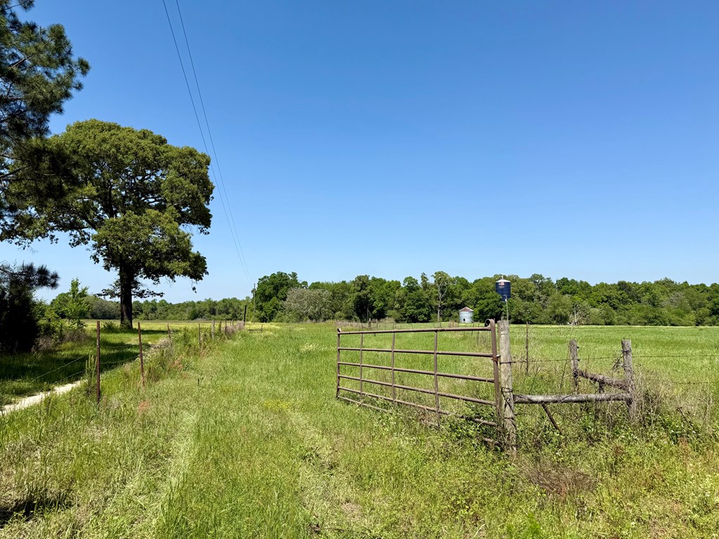 11.25 Acres Huskey Road, Dothan, Alabama image 4