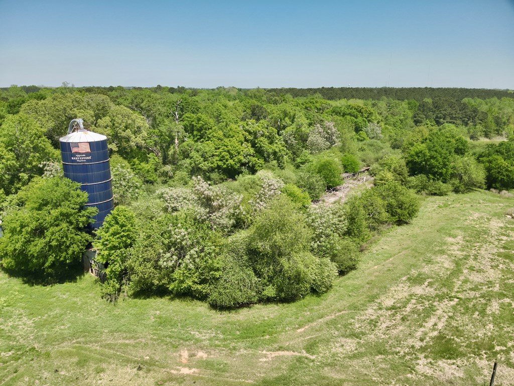 11.25 Acres Huskey Road, Dothan, Alabama image 5
