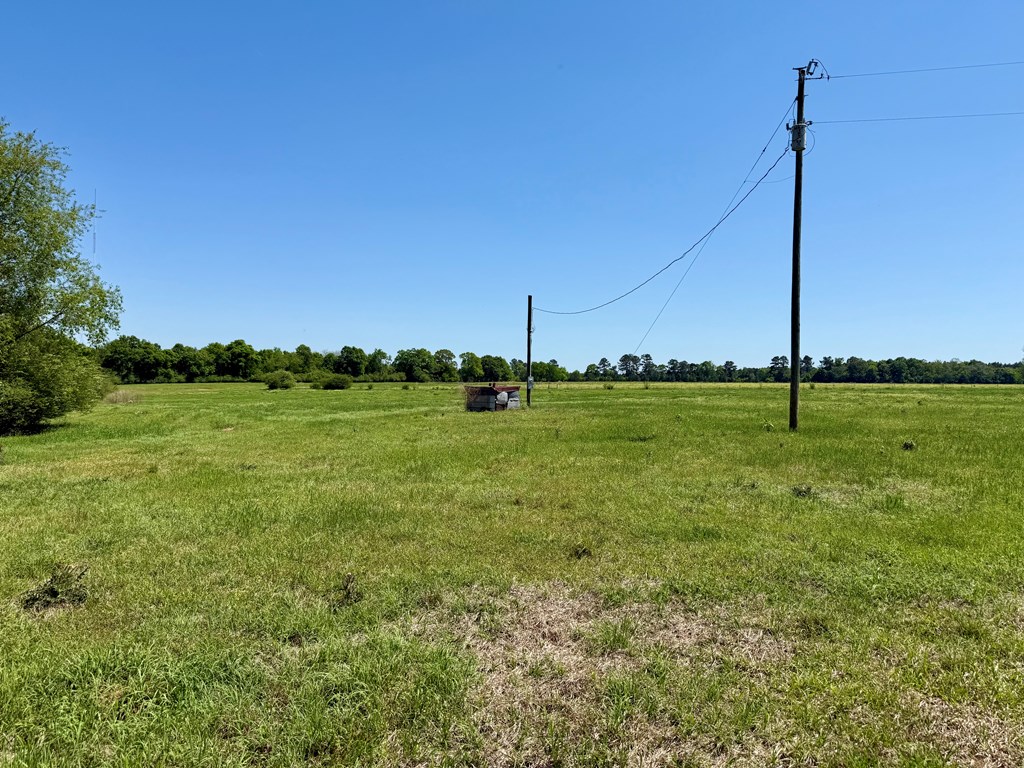 11.25 Acres Huskey Road, Dothan, Alabama image 7
