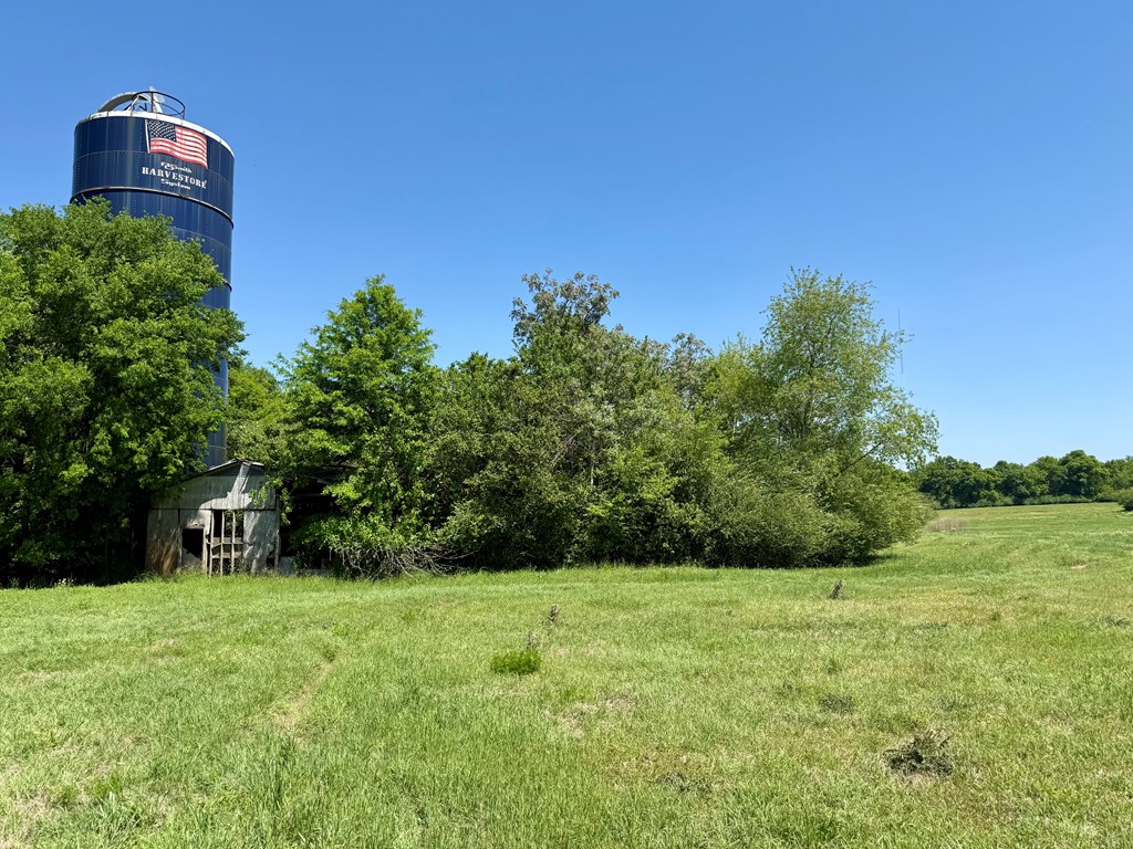 11.25 Acres Huskey Road, Dothan, Alabama image 11
