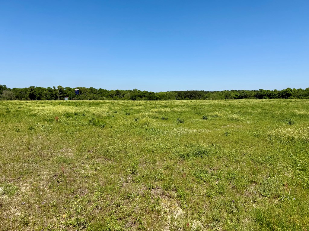 11.25 Acres Huskey Road, Dothan, Alabama image 9