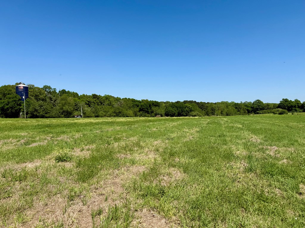 11.25 Acres Huskey Road, Dothan, Alabama image 13