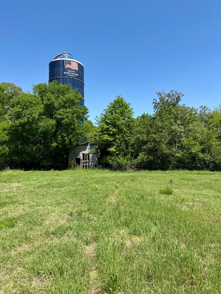11.25 Acres Huskey Road, Dothan, Alabama image 10
