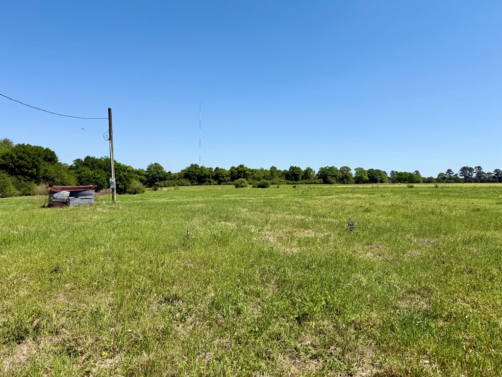 11.25 Acres Huskey Road, Dothan, Alabama image 12