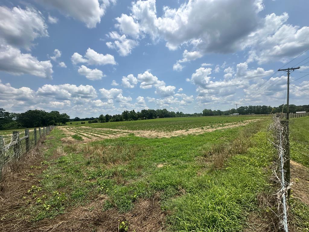 14 Acres Lot 6 J Saunders, Dothan, Alabama image 2
