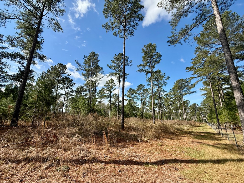 Ben Ivey, Ashford, Alabama image 6