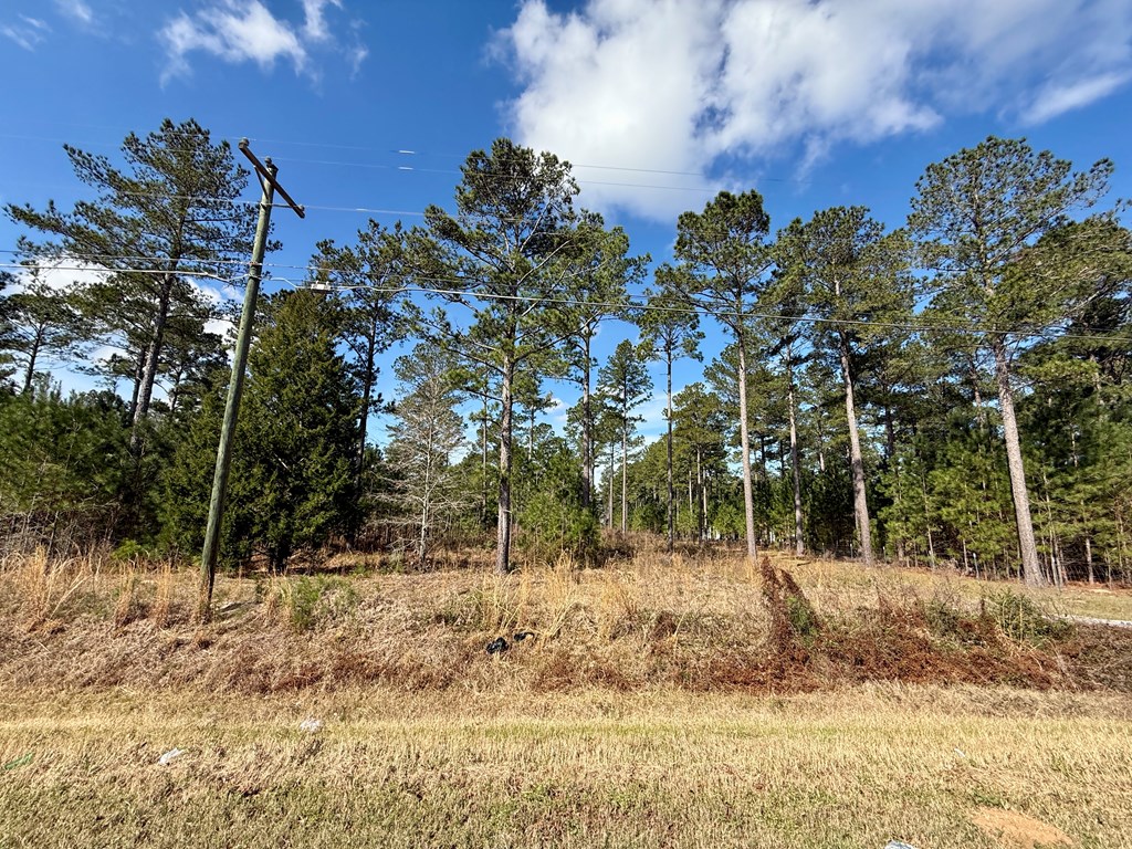 Ben Ivey, Ashford, Alabama image 4