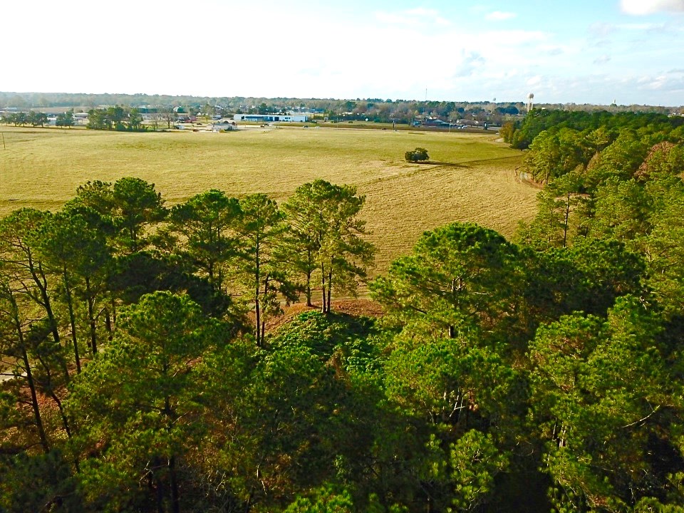 Us Hwy 431, Headland, Alabama image 12