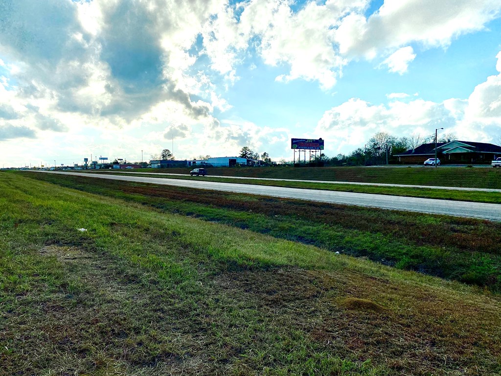 Us Hwy 431, Headland, Alabama image 3