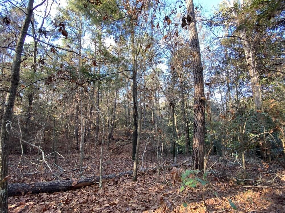 Us Hwy 431, Headland, Alabama image 19