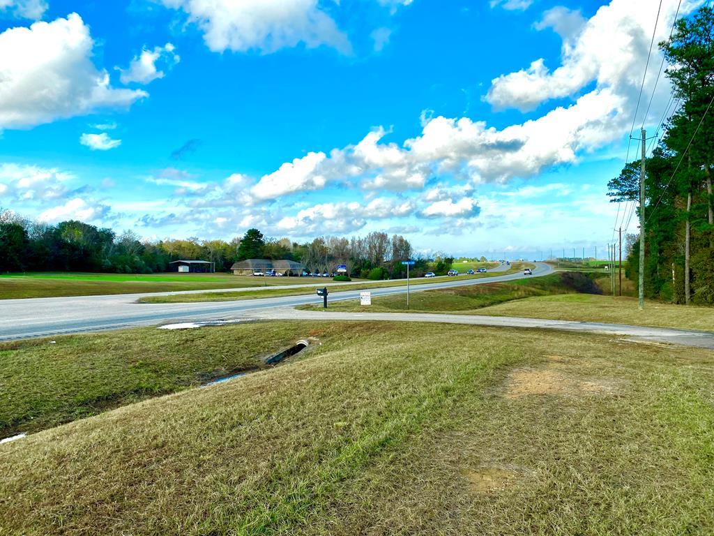 Us Hwy 431, Headland, Alabama image 2