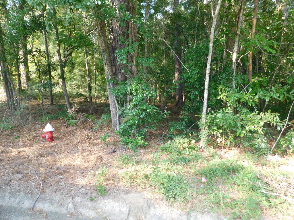 Briar Cliff Rd Lot 5 Bk E, Ozark, Alabama image 2