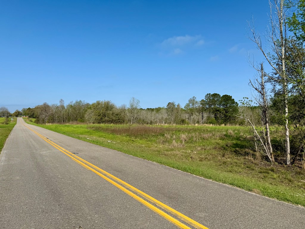 13.5 Acre Red Oak Road, Florala, Alabama image 5