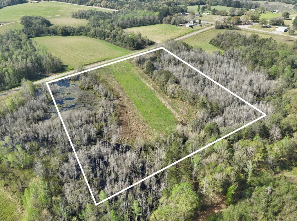 13.5 Acre Red Oak Road, Florala, Alabama image 3