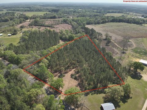 Vacant Land For Sale - LOT 2 S County Rd 49<br/> Geneva County, Slocomb, AL 36375
